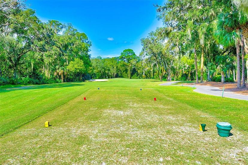 Picture of 9211 Green Pines Terrace, New Port Richey FL 34655
