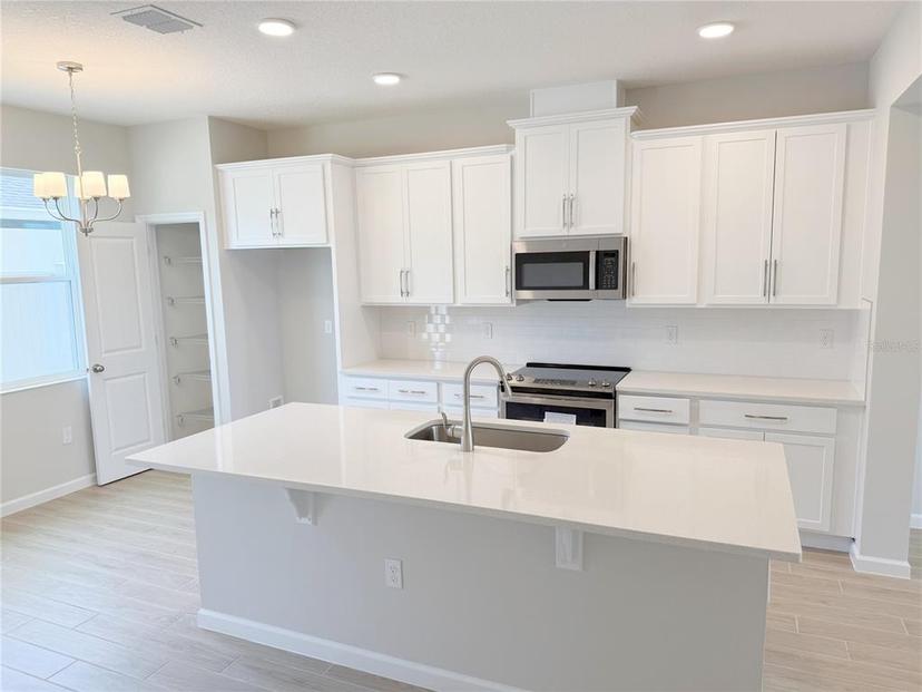 Picture of 791 Pilea Street, Apopka FL 32703