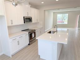 Picture of 791 Pilea Street, Apopka, FL 32703