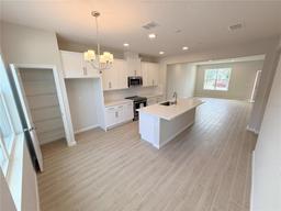 Picture of 791 Pilea Street, Apopka, FL 32703