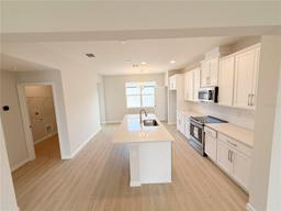 Picture of 791 Pilea Street, Apopka, FL 32703