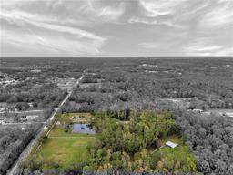 Picture of 655 Appaloosa Road, Tarpon Springs, FL 34688