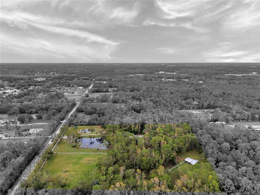 Picture of 655 Appaloosa Road, Tarpon Springs FL 34688