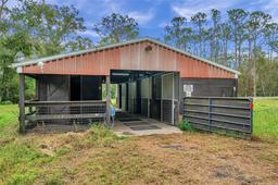 Picture of 655 Appaloosa Road, Tarpon Springs, FL 34688