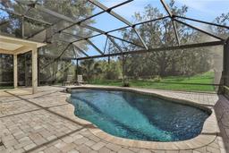 Picture of 24126 Plymouth Hollow Circle, Sorrento, FL 32776