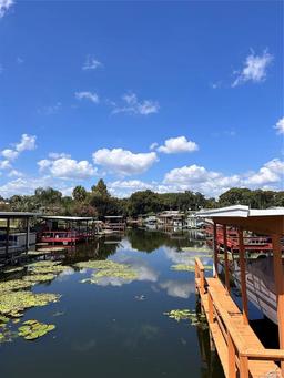Picture of 34323 Island Drive, Leesburg, FL 34788