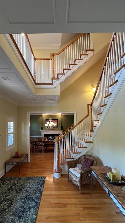 Picture of 29731 Chapel Park Drive, Wesley Chapel FL 33543
