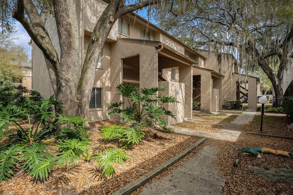 Picture of 5502 Loblolly Court Unit 200/B, Tampa, FL 33617