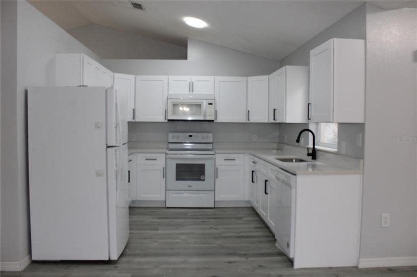 Picture of 411 Gannet Court, Kissimmee FL 34759