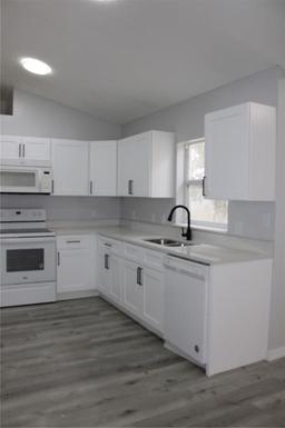 Picture of 411 Gannet Court, Kissimmee, FL 34759