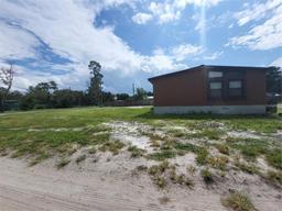 Picture of 45797 Ohio Street, Paisley, FL 32767