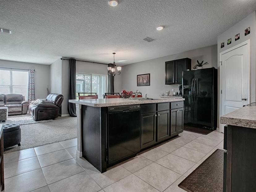 Picture of 10548 Bronze Leaf Court, Leesburg FL 34788