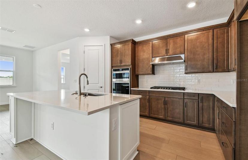Picture of 13715 Brookside Haven Street, Riverview FL 33578