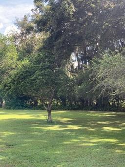 Picture of 2705 Ranch Road, Dover, FL 33527