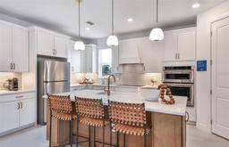 Picture of 13720 Brookside Haven Street, Riverview, FL 33578