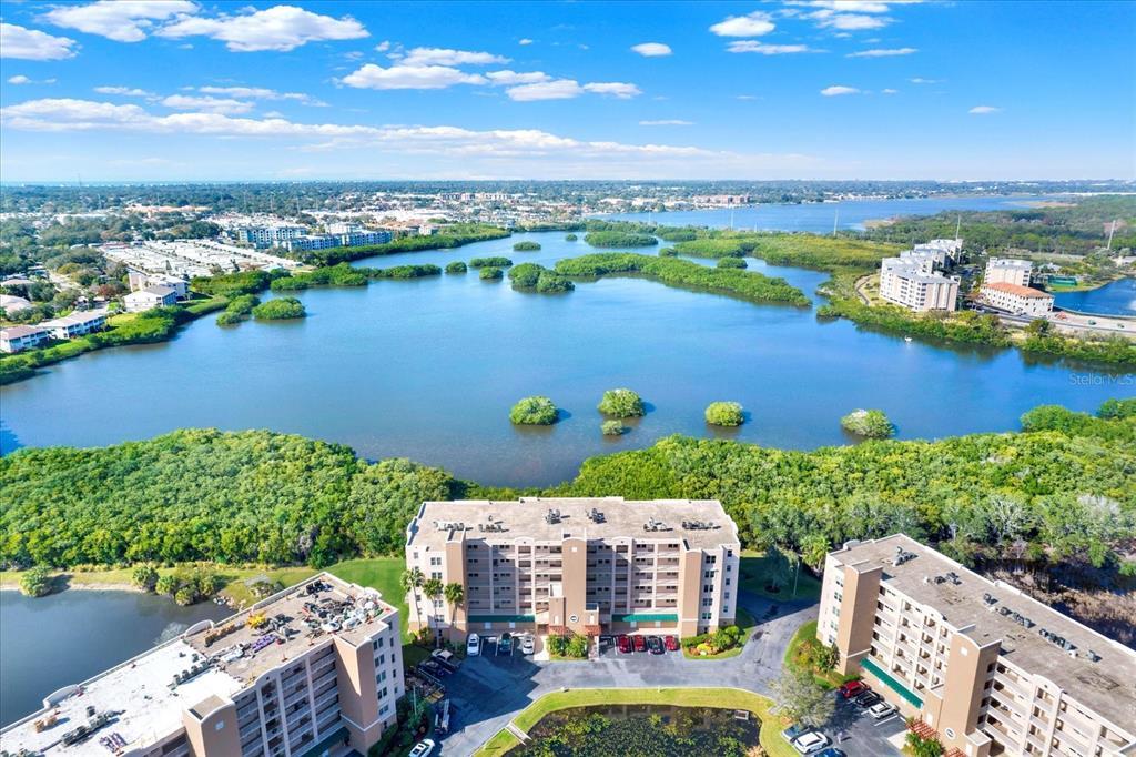 Picture of 6251 Shoreline Drive Unit 2102, St Petersburg, FL 33708