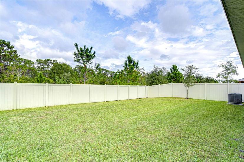 Picture of 15629 Black Pepper Lane, Odessa FL 33556