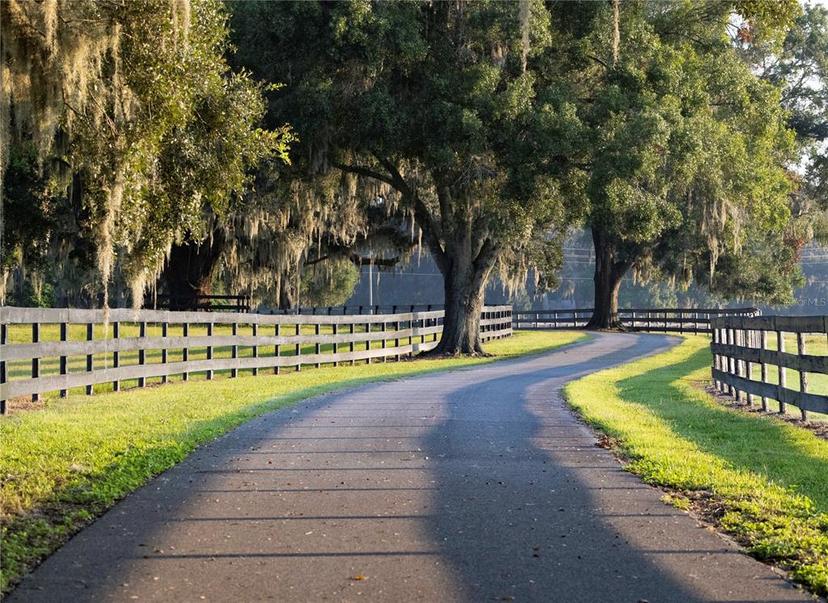 Picture of 12870 W Highway 40, Ocala FL 34481