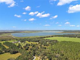Picture of 11001 Mooncrest Lane, Leesburg, FL 34788