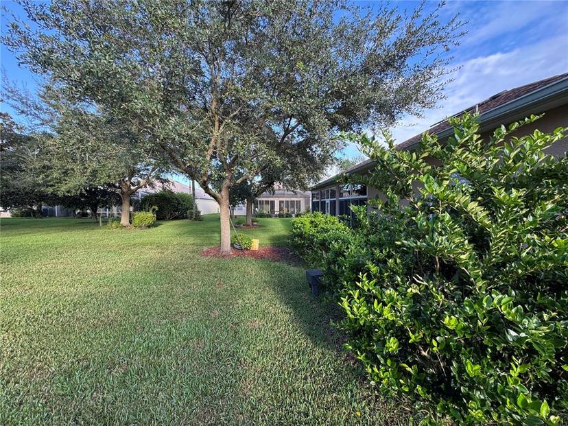 Picture of 24023 Robinwood Street, Leesburg FL 34748