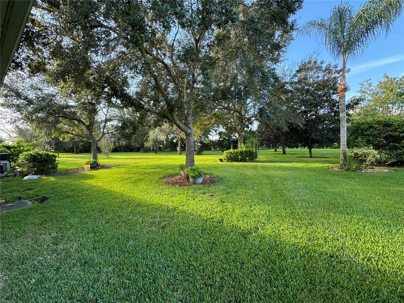 Picture of 24023 Robinwood Street, Leesburg FL 34748