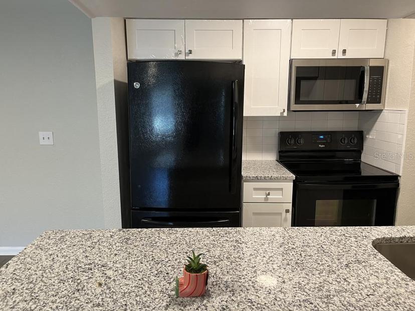 Picture of 624 Golden Raintree Place Unit 624, Brandon FL 33510