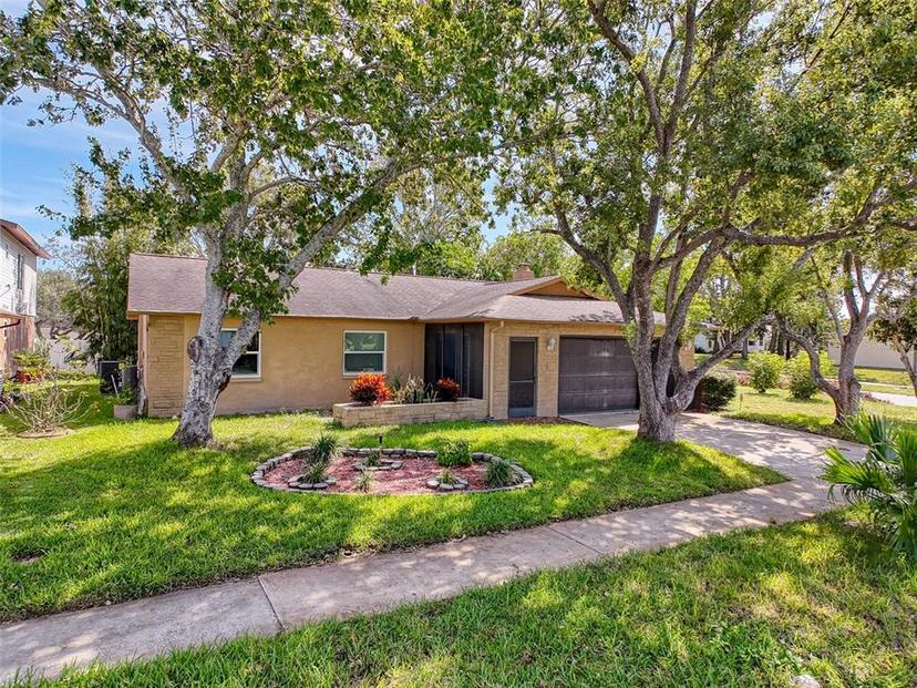Picture of 10824 Peppertree Lane, Port Richey FL 34668