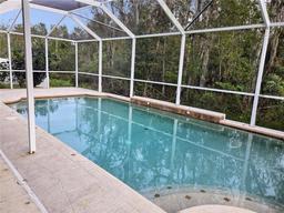 Picture of 3323 Golden Eagle Drive, Land O Lakes, FL 34639