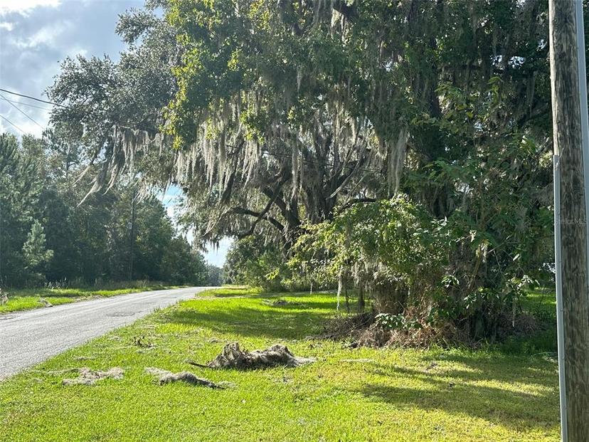 Picture of 10125 NW 28Th Pl, Ocala FL 34482