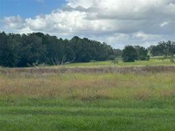 Picture of 10125 NW 28Th Pl, Ocala, FL 34482