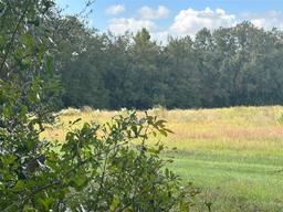 Picture of 10125 NW 28Th Pl, Ocala, FL 34482