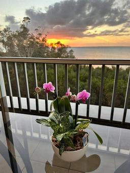 Picture of 101 N Marion Court Unit 122, Punta Gorda, FL 33950
