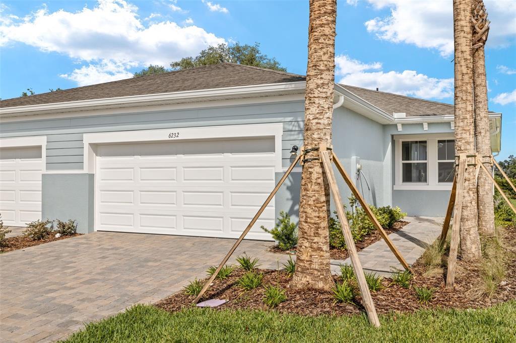 Picture of 6232 Timberdale Avenue, Wesley Chapel, FL 33545