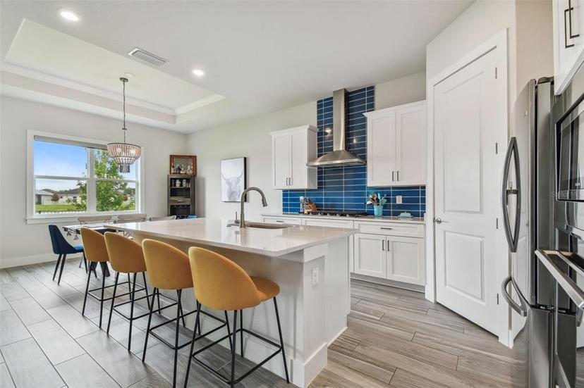 Picture of 8192 Ivy Stark Boulevard, Wesley Chapel FL 33545