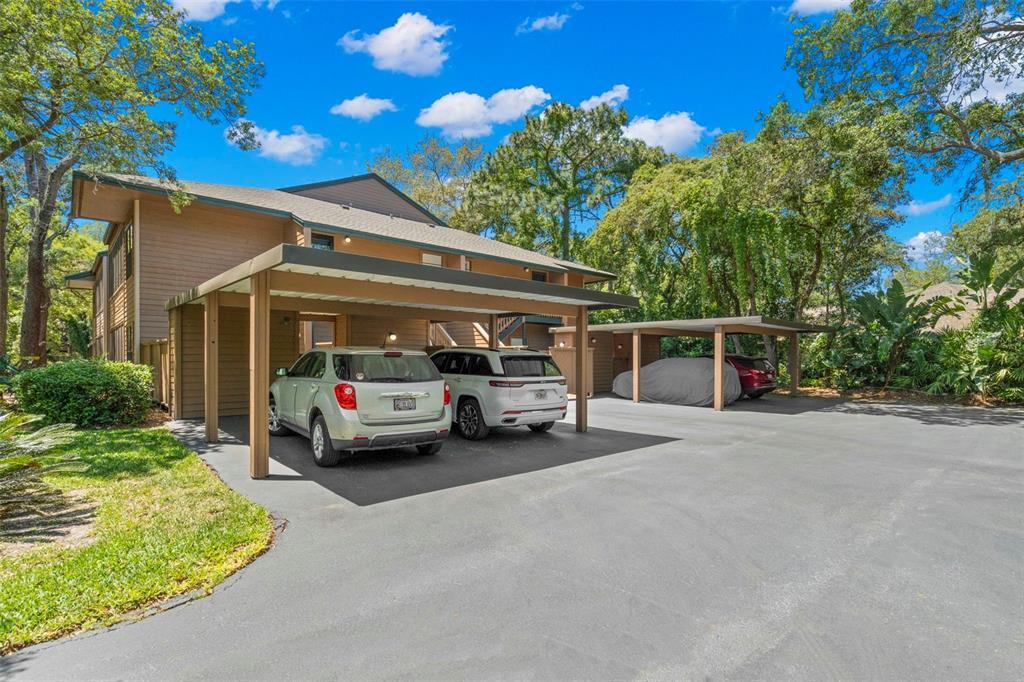 Picture of 104 Cypress Pond Road, Palm Harbor, FL 34683