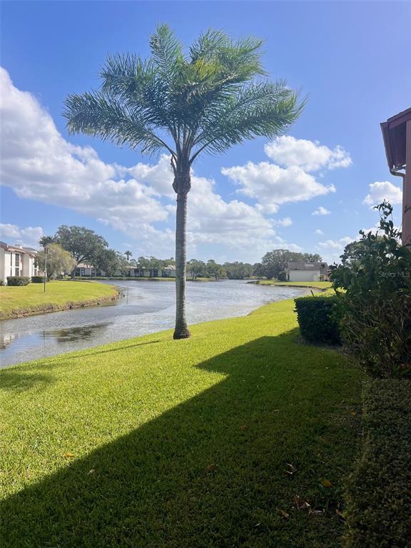Picture of 143 Lakeside Drive Unit 143, Oldsmar, FL 34677