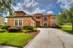 Picture of 20103 Shady Hill Lane, Tampa, FL 33647