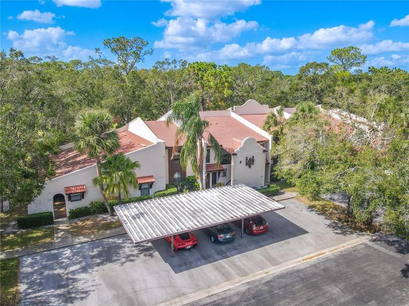 Picture of 3505 Tarpon Woods Boulevard Unit K409, Palm Harbor FL 34685