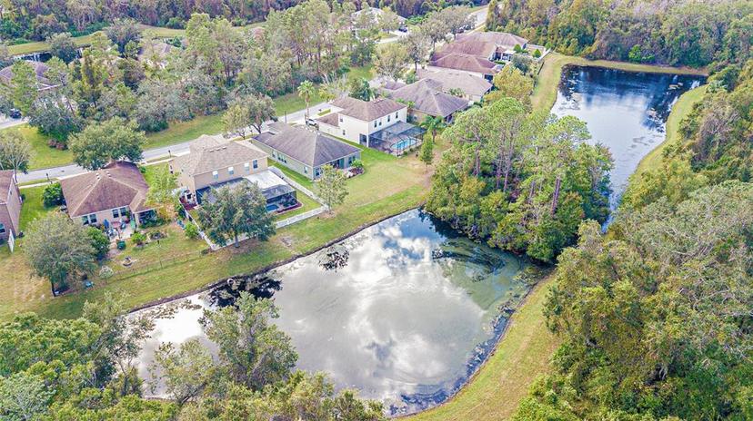 Picture of 11231 Belle Haven Drive, New Port Richey FL 34654