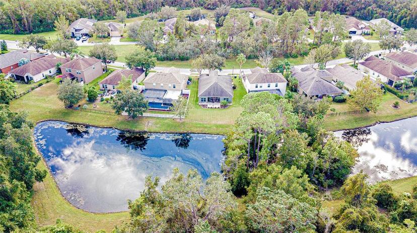 Picture of 11231 Belle Haven Drive, New Port Richey FL 34654