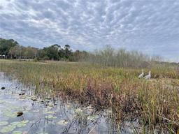 Picture of 4321 Rummell Road, St Cloud, FL 34769
