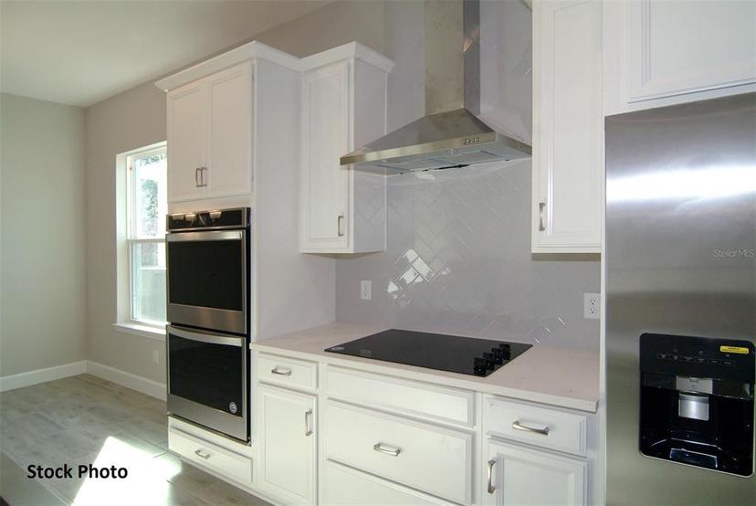 Picture of 17434 Crisp Apple Lane, Land O Lakes FL 34638