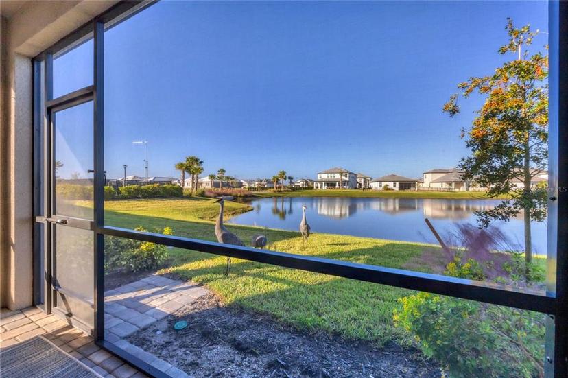 Picture of 17890 Cherished Loop, Bradenton FL 34211