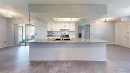 Picture of 13173 Little Farms Drive, Spring Hill, FL 34609