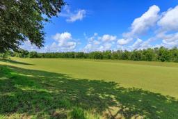 Picture of 315 Aldridge Lane, Davenport, FL 33897