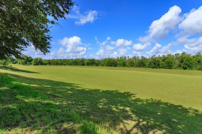 Picture of 315 Aldridge Lane, Davenport FL 33897