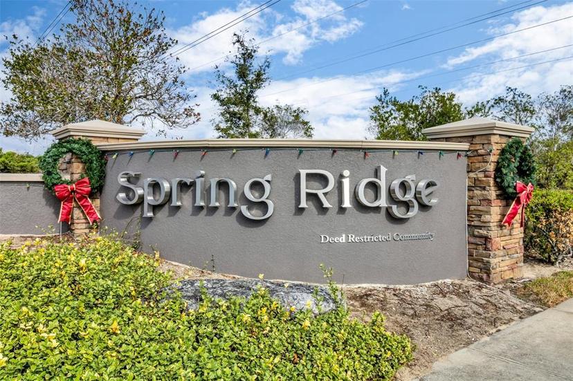 Picture of 9612 Southern Charm Circle, Brooksville FL 34613