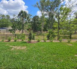 Picture of 14427 Crest Palm Avenue, Windermere, FL 34786