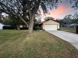 Picture of 501 Cherry Tree Street, Eustis, FL 32726