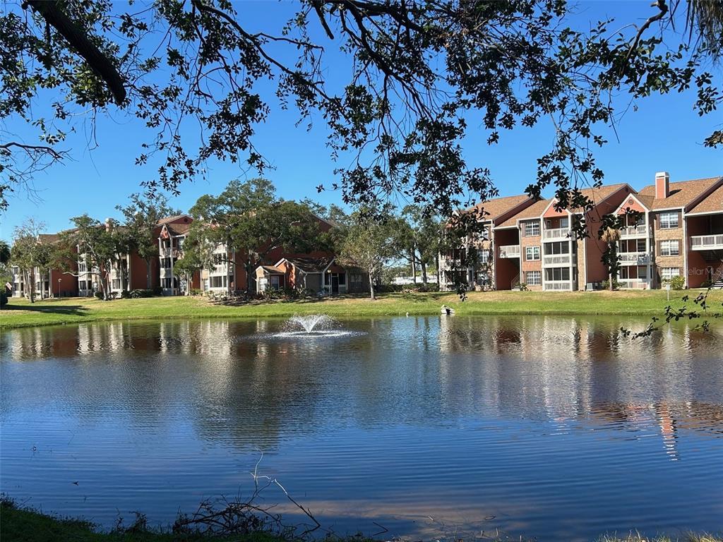 Picture of 10200 Gandy Boulevard N Unit 921, St Petersburg, FL 33702